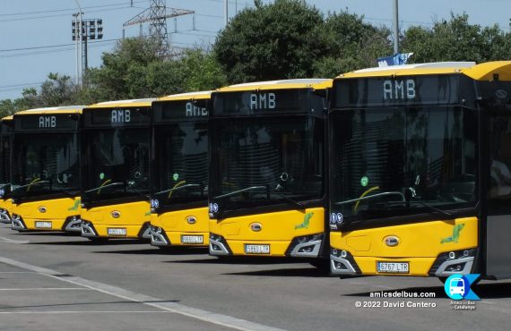 Vista general de part dels 22 nous autobusos presents en la presentació.