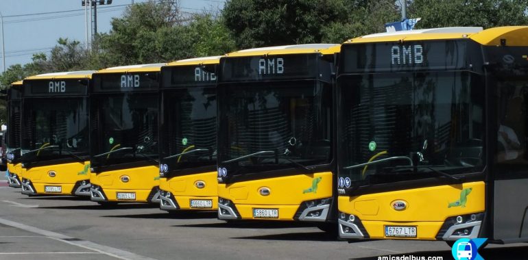 Vista general de part dels 22 nous autobusos presents en la presentació.